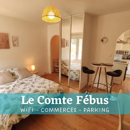 Le Comte Febus - Focalimmo Apartment Foix Exterior photo
