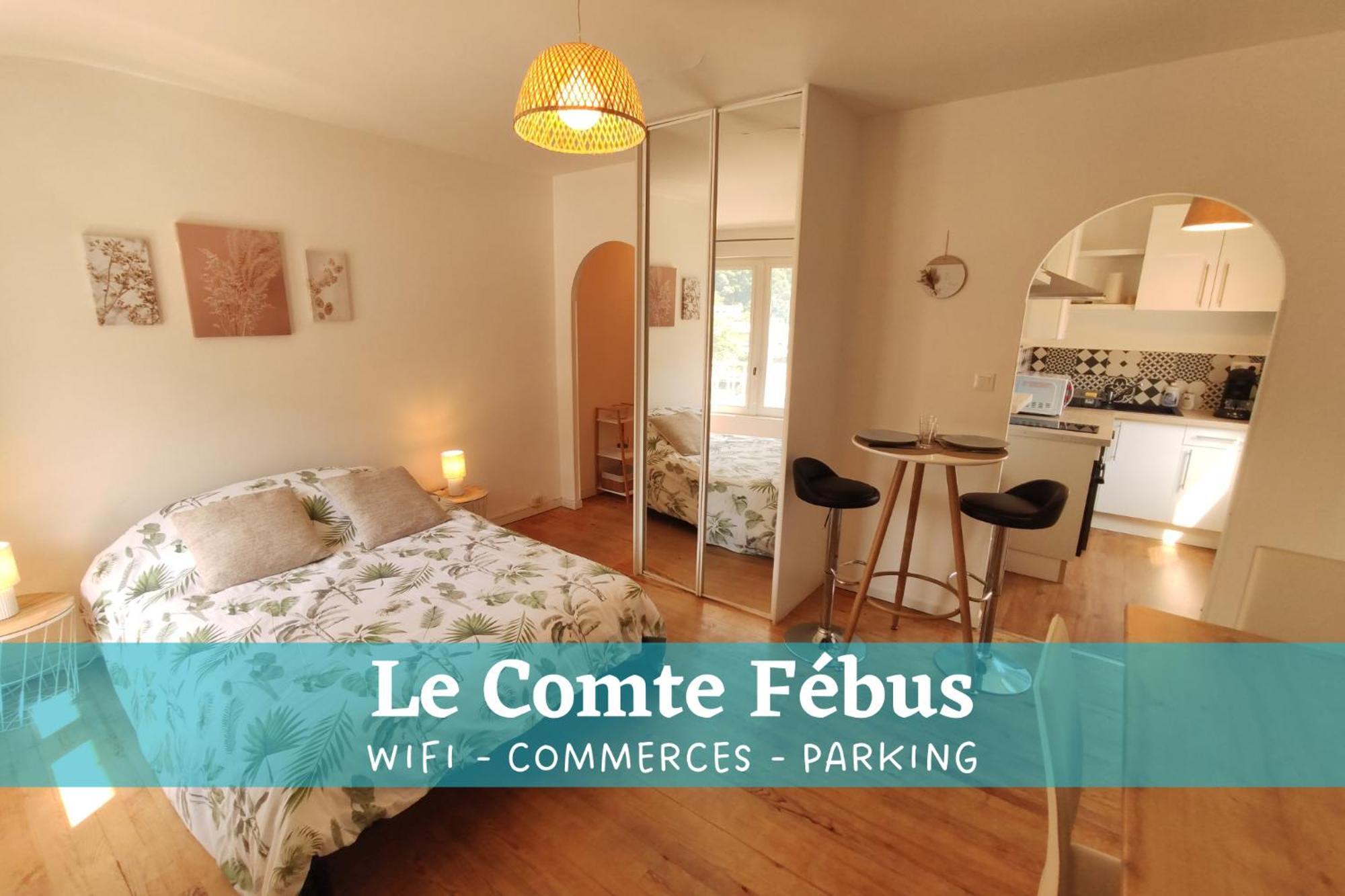 Apartment Le Comte Febus - Focalimmo Foix